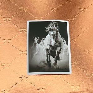 Horses Running Equestrian Horse Girl Horse Boy Cowboy CowGirl Single Sticker